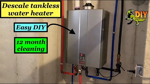 Tankless water heater DeScaling DIY full flush Rinnai