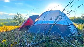 Wild Camping in Sand Dunes State Forest (Scary Wildlife Everywhere!)