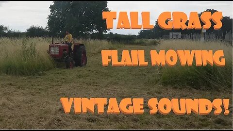 Flail mowing tall grass with a vintage Carraro tractor (Long version) #asmr