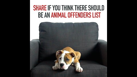 Animal Offenders List [GMG Originals]