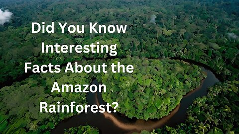 Did You Know Interesting Facts About the Amazon Rainforest?