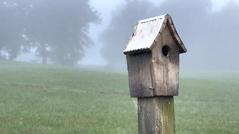 Foggy Morning On The Farm 😶‍🌫️