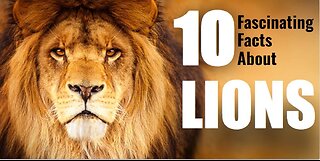 10 Fascinating Facts About Lions!