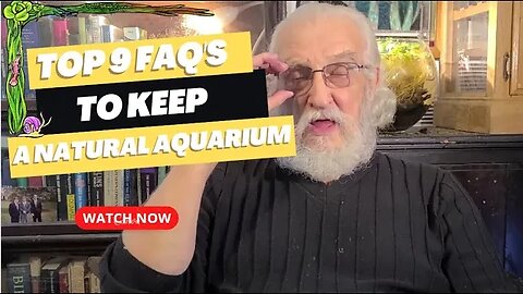 FATHER FISH ANSWERS 9 IMPORTANT QUESTIONS EVERY AQUARIUM HOBBYIST ASKS