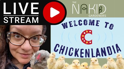 The Nakid Truth LIVE with Madame President of Chickenlandia