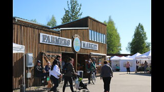 Farmers Market in Fairbanks, Alaska in July [알래스카 여행] 페어뱅크스 파머스 마켓