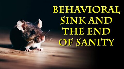What does the Mouse Utopia, behavioral sinks and humanity have in common?
