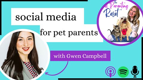 The BEST Way To Consume Short Form Content As A Pet Parent