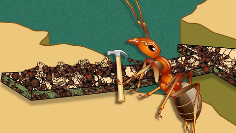 HowStuffWorks Animations: How Fire Ants Helped Ant-Man