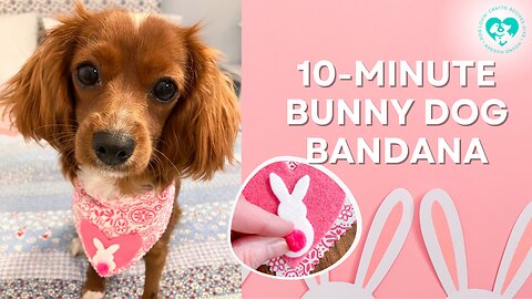 10-Minute Bunny Dog Bandana