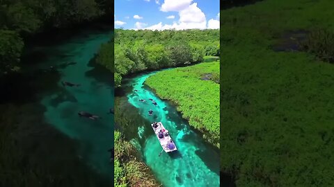 One of the most transparent and clean spring rivers on our planet.