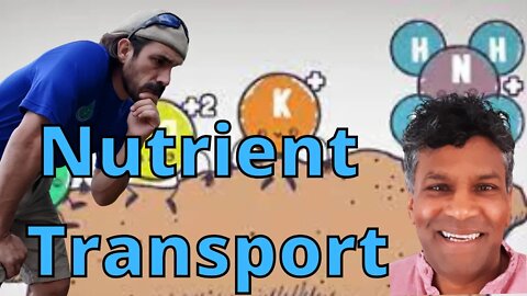 Cation Exchange Vs Nutrient Transport in plants