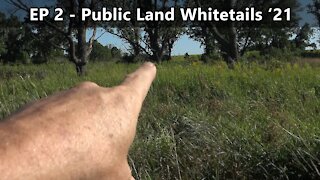 I CALLED IT! Predicting Where I Will Jump A Deer - Public Land Whitetails