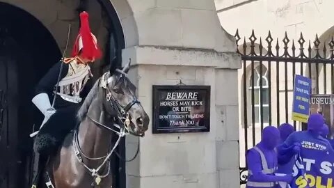 Quick clip kings guard shouts at protesters scaring his horse #thekingsguard