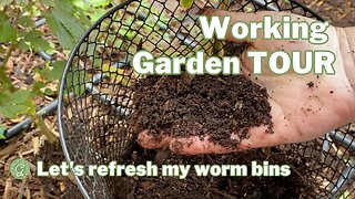 Side Yard Garden Working Tour, Planting, Worm Bin and Bed Prep for the New Season