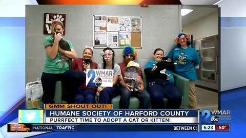 Good morning from the Humane Society of Harford County!