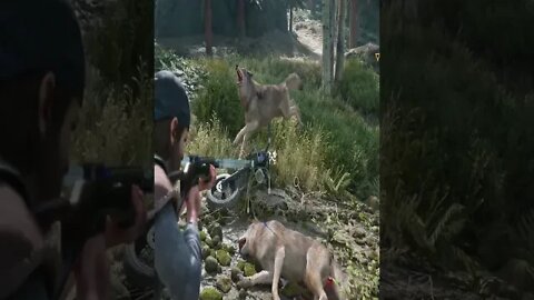 Clapped A Pack of Wolves! | Days Gone