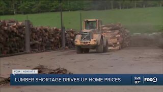 Rehabbers, home buyers slammed by soaring lumber prices