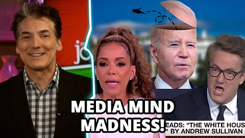 The Media Battle For Biden’s Bad Brain! | Wacky MOLE