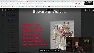 Wolves In Sheeps Clothing: How Wolves Attack