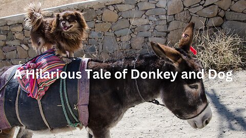 A Hilarious Tale of Donkey and Dog