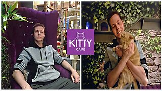 BwolfTheWolf: Kitty Café In Leeds (2018)