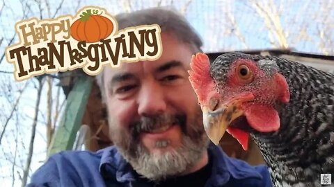 Happy Thanksgiving from Frank, The Quackers & Chickens!