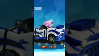 White & Blue Paint Job - Crash Team Racing Nitro-Fueled