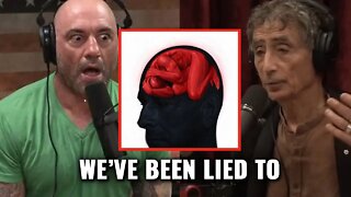 Everything You Know About ADHD & Anxiety Is Wrong | Joe Rogan & Gabor Mate