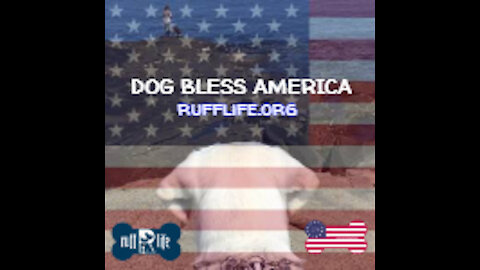 Dog Bless America 9-13-21