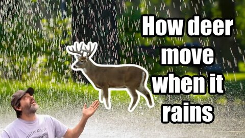Deer movement after a RAIN with Dan Infalt