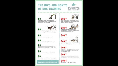 DOES AND DON'TS - BEFORE OWNING A DOG, MUST SEE THIS VIDEO
