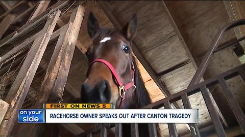 Owner heartbroken, confused after racehorse is released from barn and dies in icy lake