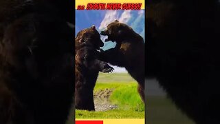 The most Brutal Bear fight ever caught on camera! Pt.3 Watch as these two beasts battle!