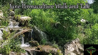 Permaculture Food Forest Tour, June 2023. Walk and talk about overshoot, ice melting, healing nature