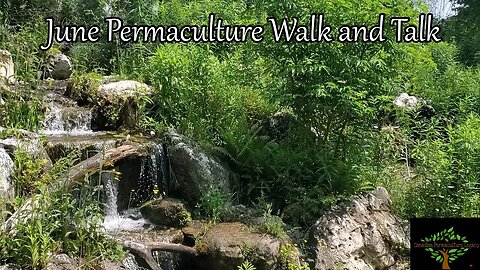 Permaculture Food Forest Tour, June 2023. Walk and talk about overshoot, ice melting, healing nature