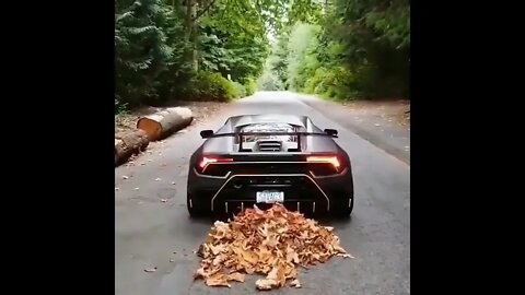 Rate This Lambo Sound! #motorium #ytshorts #shorts #vehicles #luxuryvehicles #bikes