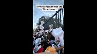 Pro Palestine protest outside White House