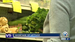 Where is all the lettuce? Leafy greens can be hard to come by in some stores