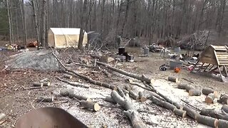 Cutting Logs & Cleaning Up In Front Of My Off Grid Tiny Home