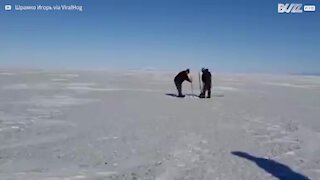 Un phoque sauvé des glaces au lac Baïkal