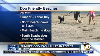 Summer off-leash rules in effect