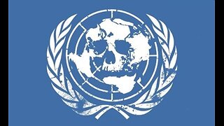 🇺🇳 United Nations kidnapped children for human trafficking and organ harvesting