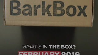 Bark Box - Unboxing - February 2016