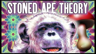 Stoned Ape Theory | Mushrooms, Evolution, Intelligence