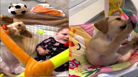 CUTE Puppy Loves Playing Like Baby🐶