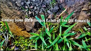 Unique Old Relics Found at the Old Homesite / Metal Detecting USA 🇺🇸/ Southern Virginia / Equinox