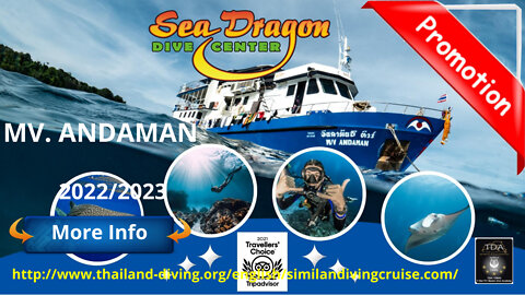 🐋MV Andaman #SeaDragon, liveaboard diving in the Similans Islands