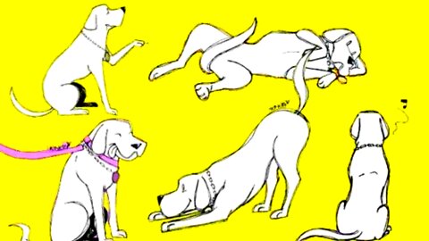 Know your dog body language and meanings