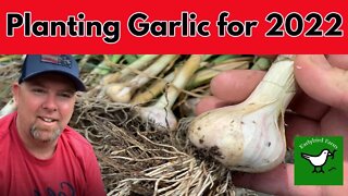 Planting Garlic for my 2022 Harvest